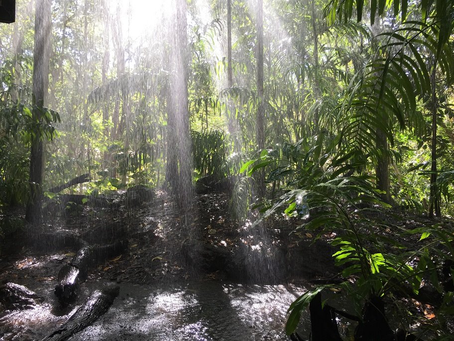 Tropical Rainfall